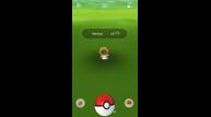 Meltan in Pokémon GO 2.jpg